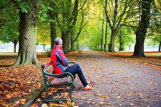 istock Autumn in the Park 517780671