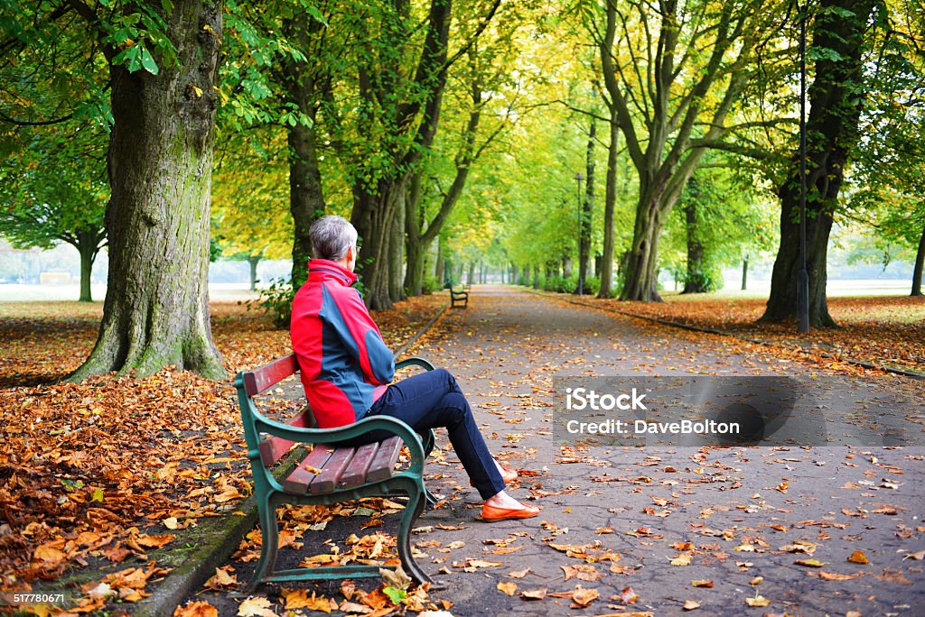 Autumn in the Park A woman in red jacket sat on a park bench looking at Autumnal scene. Diminishing perspective behind. Adult Stock Photo