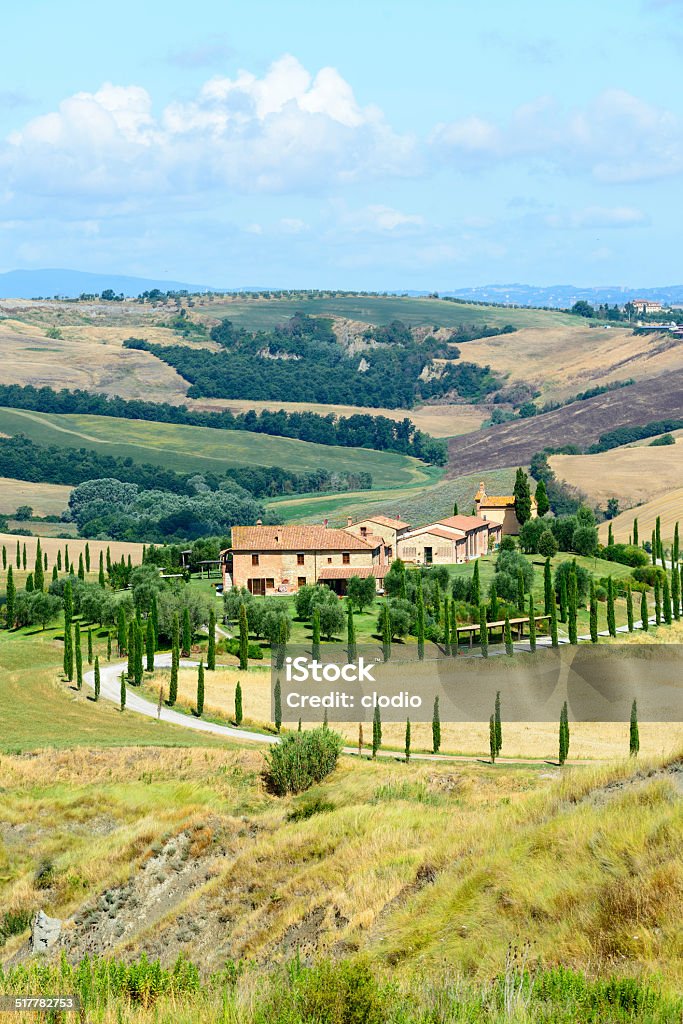 Crete Senesi (Tuscany, Italy) Crete senesi, characteristic landscape in Val d'Orcia (Siena, Tuscany, Italy), at summer. Agricultural Field Stock Photo