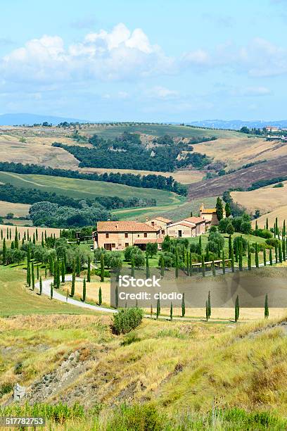Crete Senesi Stock Photo - Download Image Now - Agricultural Field, Agriculture, Asciano