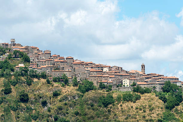 Arcidosso (Tuscany, Italy) Arcidosso (Grosseto, Tuscany, Italy): panoramic view of the medieval city in the Monte Amiata region arcidosso tuscany italy stock pictures, royalty-free photos & images