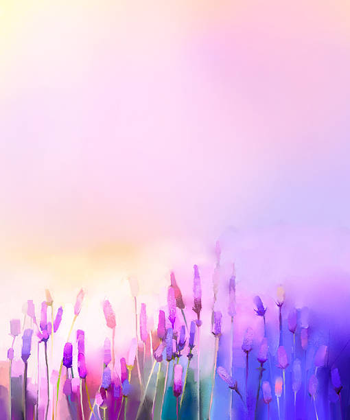 istock Oil painting violet lavender flowers in the meadows 517796118
