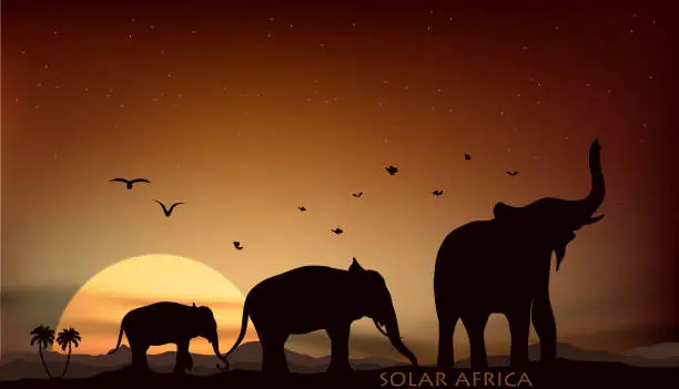 Vector illustration of sunrise and sunset over the savannah with three elephants