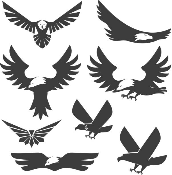 zestaw tym orły ikony i logo szablony. - phoenix tattoo bird wing stock illustrations