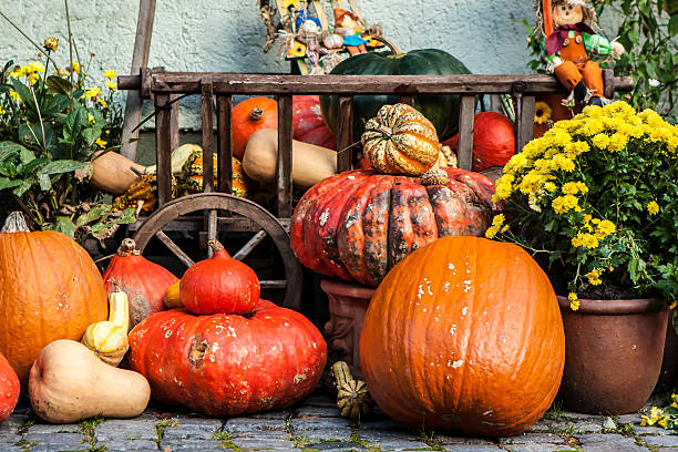 istock Halloween pumpkins on the street 517801619