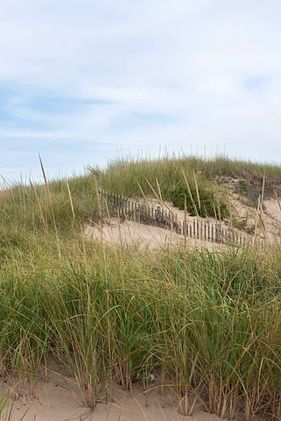 istock Race Point, Provincetown, Massachusetts 517802987