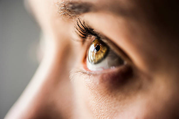 istock Gazing at the sky 517803510