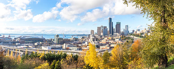 istock cityscape and skyline of seattle 517807312