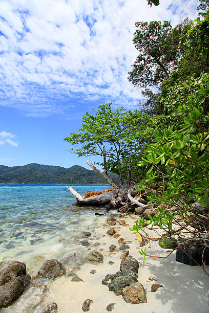 istock Terrific sea view on sunny day 517808168