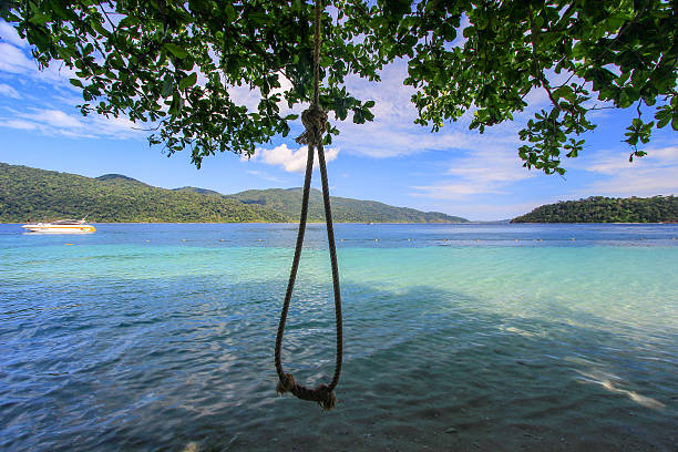 istock Rope hang from a tree above beautiful beach 517809178