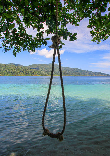 istock Rope hang from a tree above beautiful beach 517809234