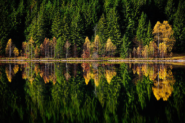 istock autumn landscape and its reflection in mountain lake 517809464