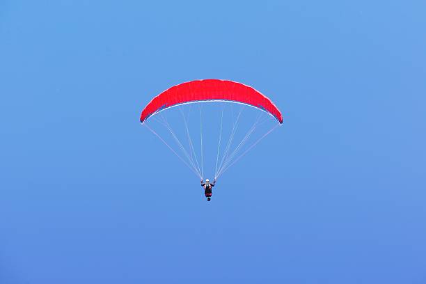 Paraglider above the French THULLON mountain.