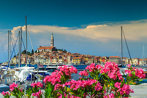 espetacular paisagem urbana com rovinj cidade velha, ístria região, a croácia, a europa - town of blossom - fotografias e filmes do acervo