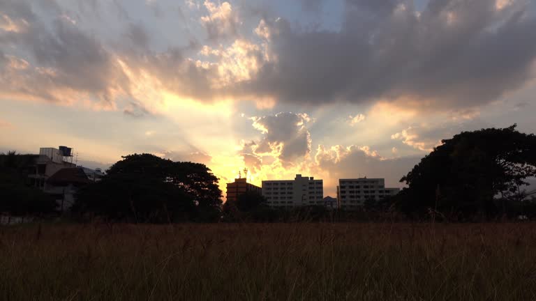 meadow summer with sunlight sunset sky in the city