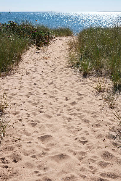 istock Town Beach, Wellfleet, Massachusetts 517812153
