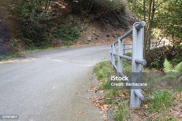 Safety On The Road Stock Photo - Download Image Now - Backgrounds, Convex, Country Road