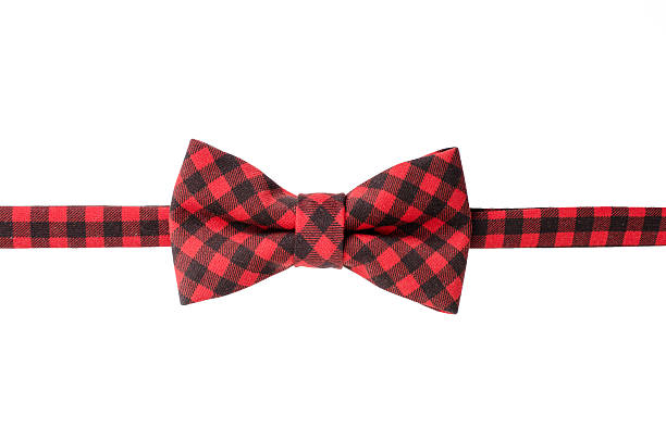 istock Plaid hipster bow tie isolated on white background 517815273