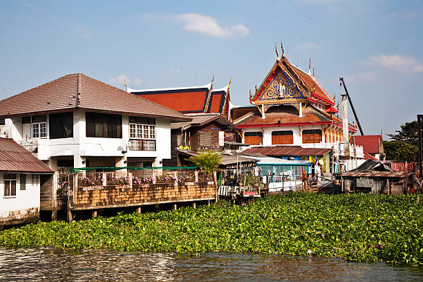 istock temple at the river Mae Nam Chao Phraya in Bangkok 517815969