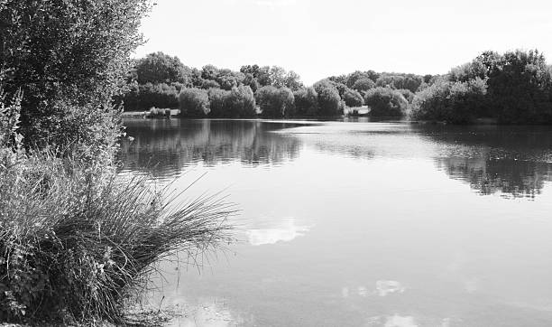 istock Peaceful lake view in Kent, England 517816061