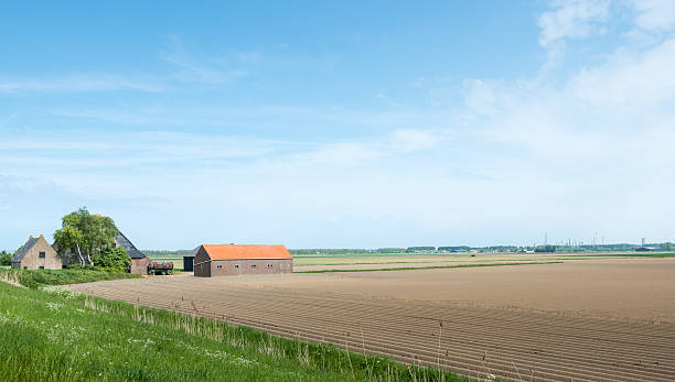 istock Field with potato ridges and a farm in springtime 517816577