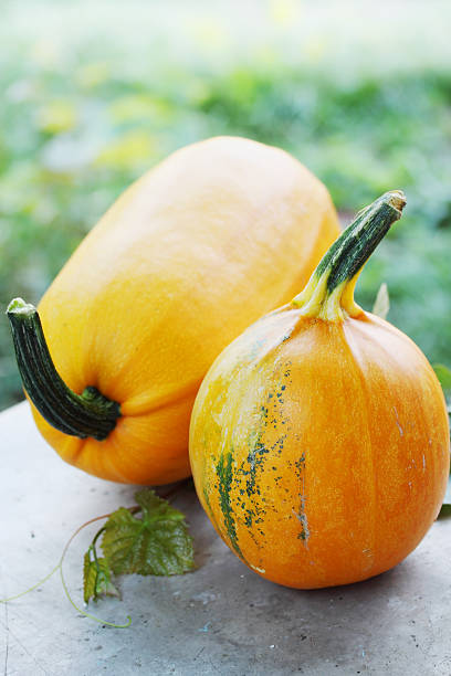 istock Still life of pumpkins 517816695