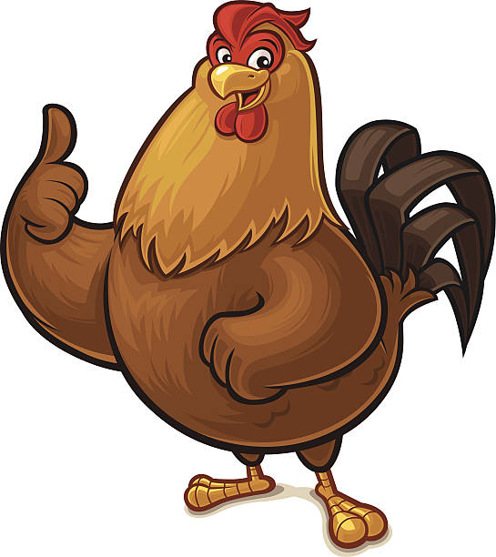 Banty Rooster Stock Photos, Pictures & Royalty-Free Images - iStock