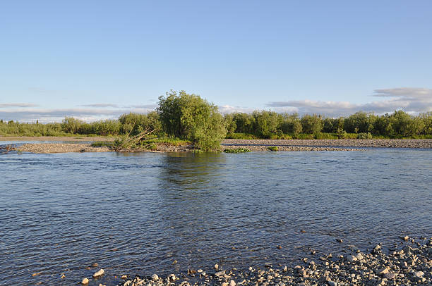 istock The polar Urals. Pebble river banks. 517818735