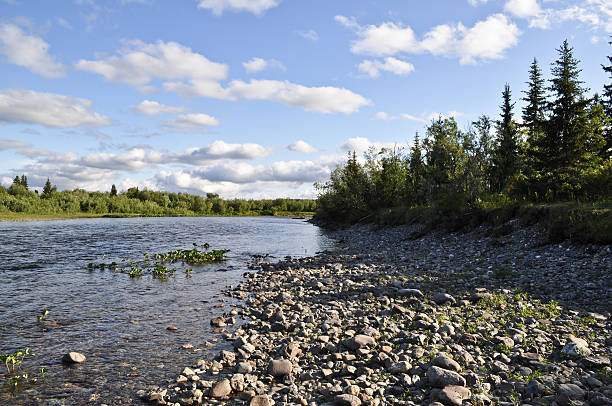 istock The polar Urals. Pebble river banks. 517828535