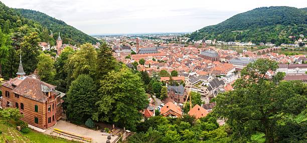 istock Aerial view of Heidelberg 517829619