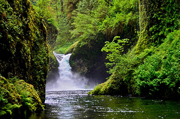 istock Punchbowl Falls - Columbia River Gorge 517831077