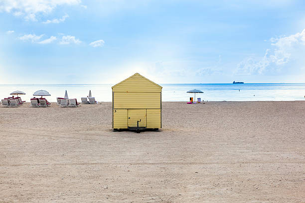 istock beachlife at the white beach in South Miami 517831697