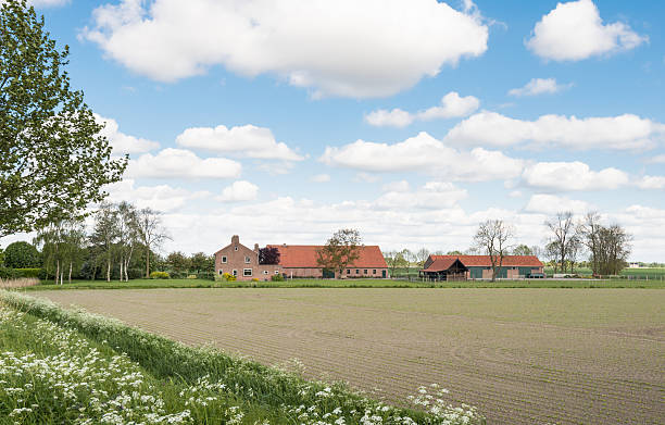 Farm in Den Bosch (‘s-Hertogenbosch) on a summer day, right after rainfall.