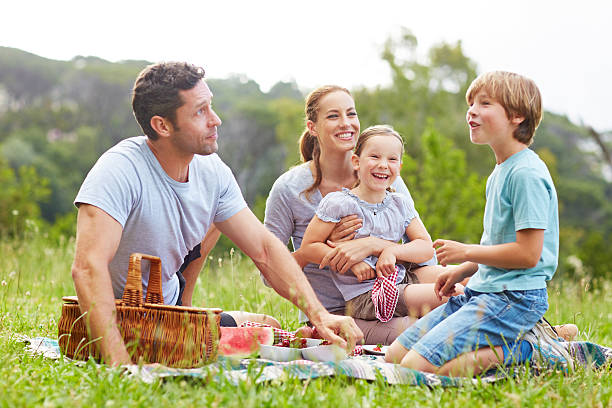 istock The perfect day for a picnic 517834721