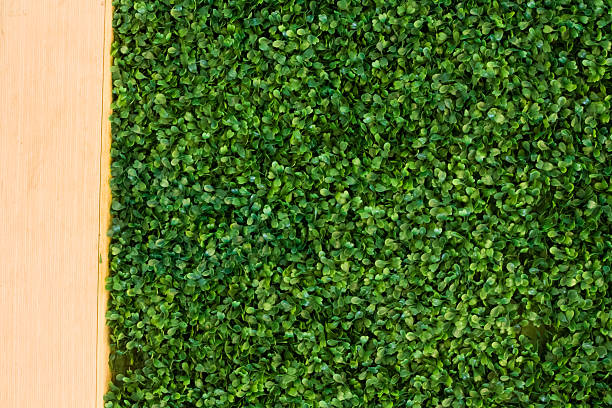 istock Grass Wood Fence Background 517834965