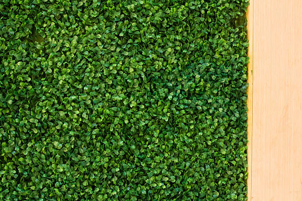 istock Grass Wood Fence Background 517835103