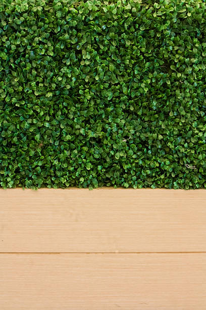 istock Grass Wood Fence Background 517835121