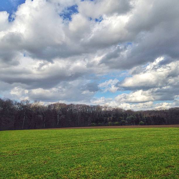 istock Rural landscape with field and cloudscape 517839516