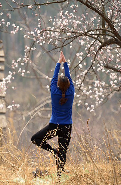 istock Yoga for woman in spring 517840110