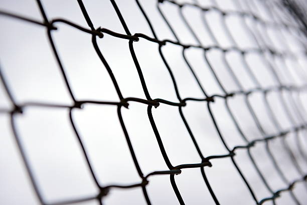 istock Metal fence - wire netting 517840136