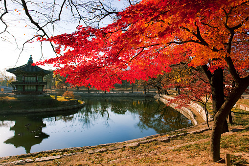 Hyangwonjeong pavilion in Gyeongbokgung palace, Seoul, Korea