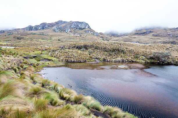 istock Landscape in Cajas National Park, Cuenca, Ecuador,Rainy day 517846534