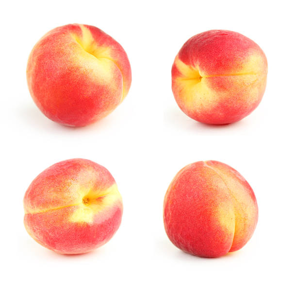 istock Fresh apricot isolated on a white 517846746
