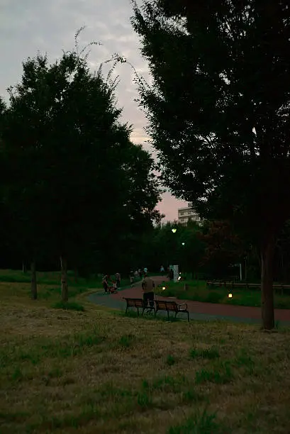 Photo of gloaming park and people