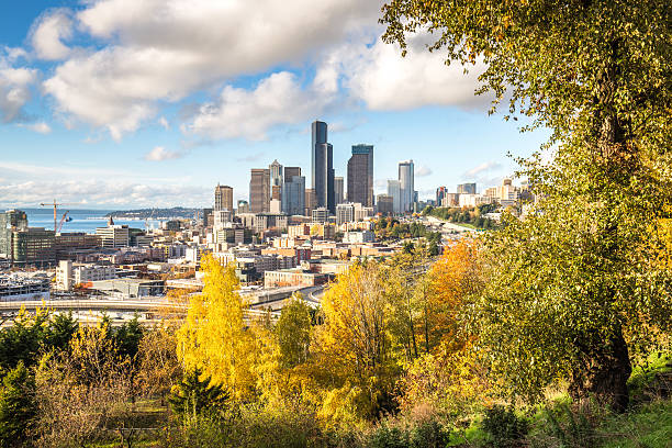 istock cityscape and skyline of seattle 517847264