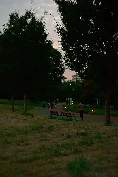 Photo of gloaming park and people