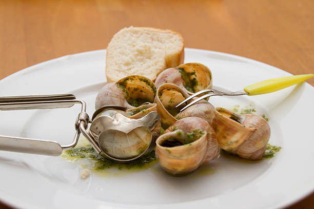 weinbergschnecken mit kräuterbutter und cacete - essen und imagens e fotografias de stock