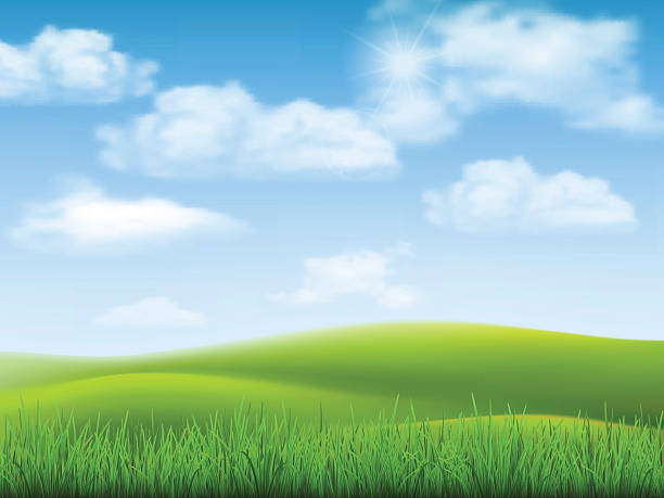 Nature landscape sky and grass Nature landscape with sky, hills and grass on foreground. grass and sky stock illustrations