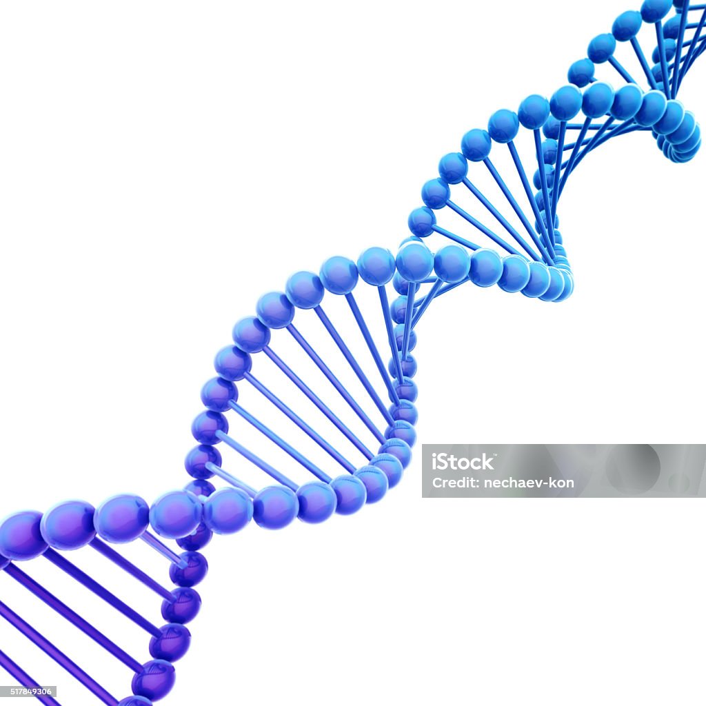 Diagonal Blue DNA Helix on White Diagonal Blue DNA Helix Model on White DNA Stock Photo