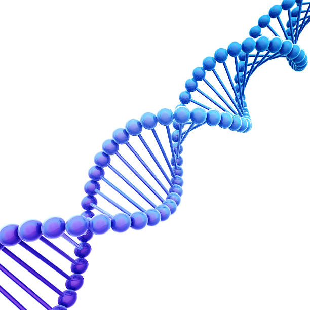 Diagonal Blue DNA Helix on White stock photo